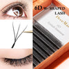 DeceMars 6D-W shaped eyelash extension-Brown